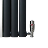 Radiateur à Colonne Ovale avec Miroir & Valves - 1800mm x 380mm – Gris Anthracite