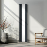 Radiateur à Colonne Ovale avec Miroir & Valves - 1800mm x 380mm – Gris Anthracite