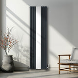 Radiateur à Colonne Ovale avec Miroir & Valves - 1800mm x 500mm – Gris Anthracite