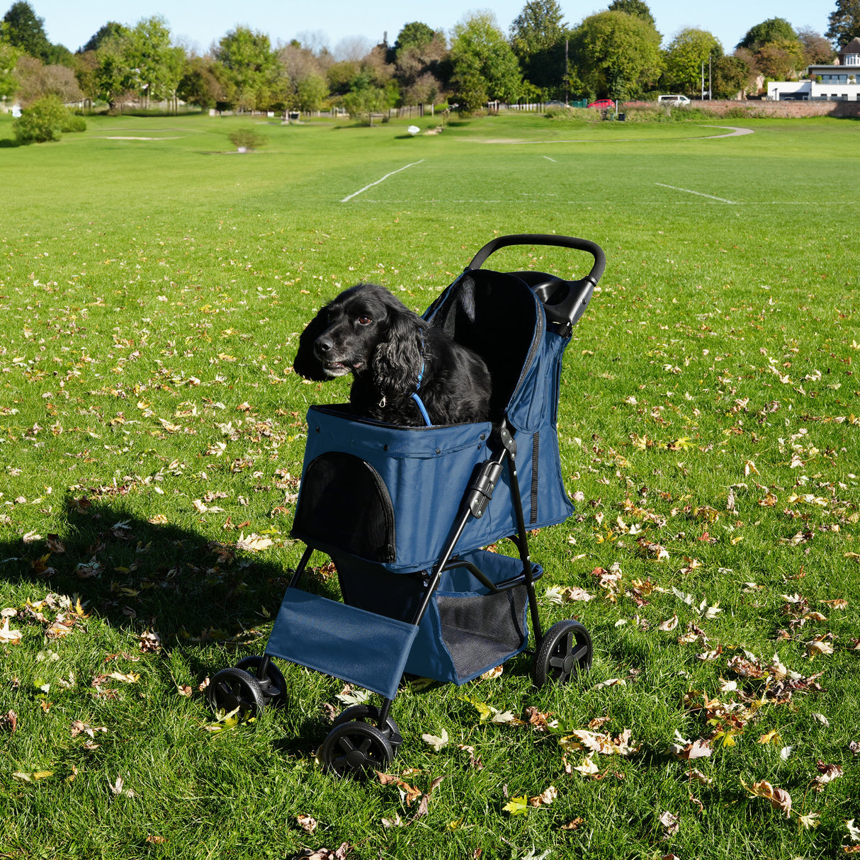 Poussette pour Animal de Compagnie – Bleu