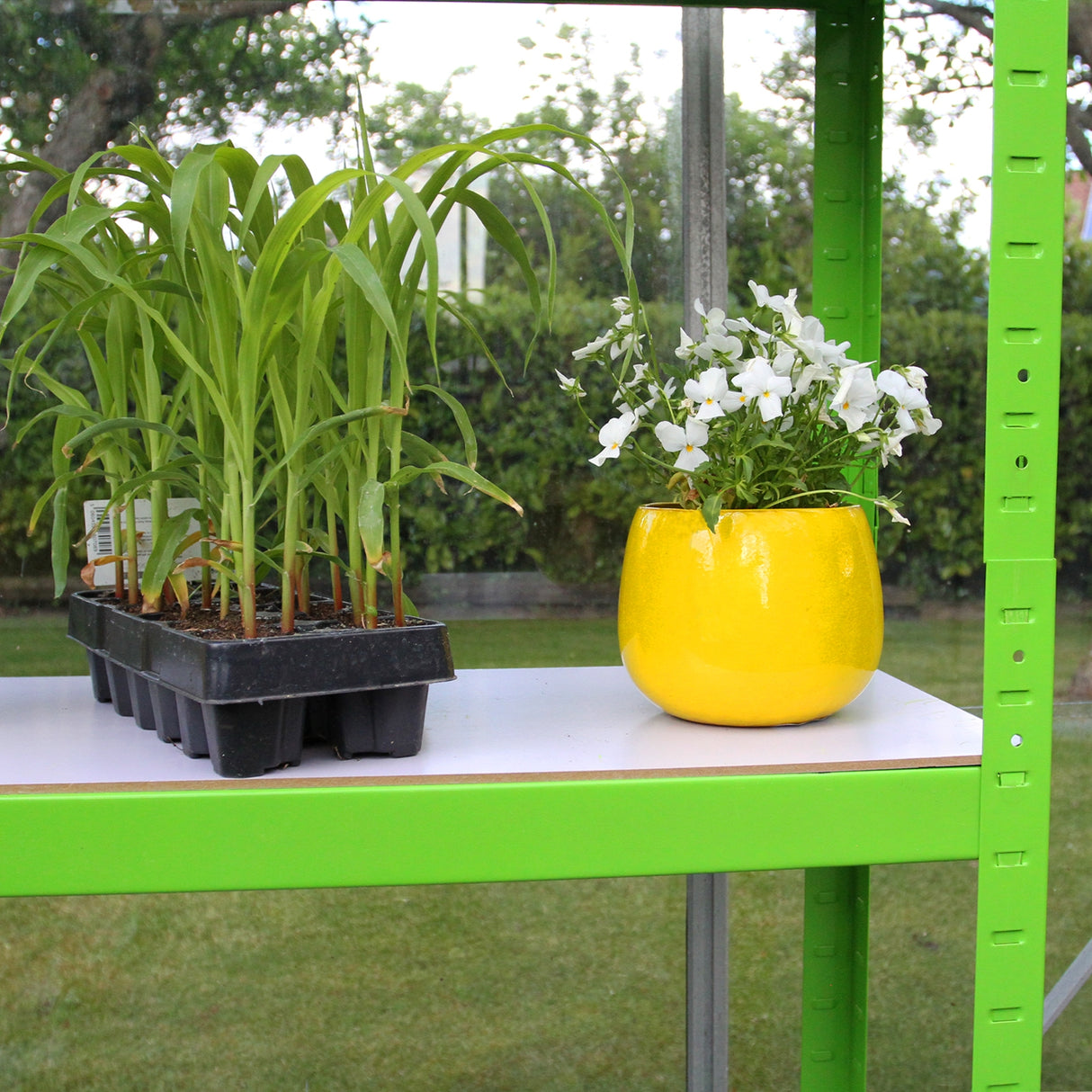 Serre Polytunnel 19mm 2.5m x 2m avec Étagères