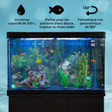 Aquarium à bords Noir avec Meuble NOIR et Gravier Bleu