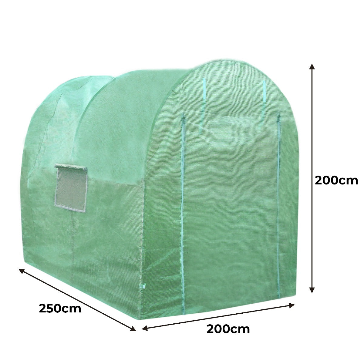 Serre Polytunnel 19mm 2.5m x 2m avec Étagères