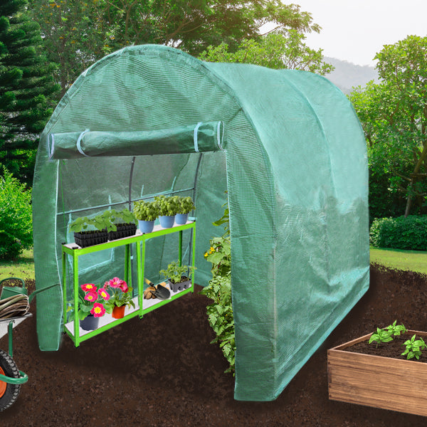 Serre Polytunnel 19mm 2.5m x 2m avec Étagères