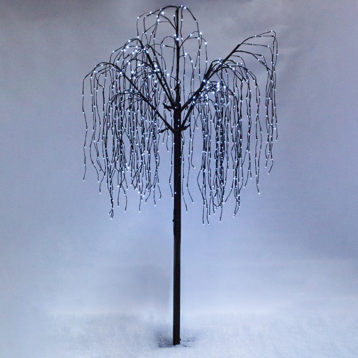 Saule Pleureur Noir - LED Blanc froid - 240 cm